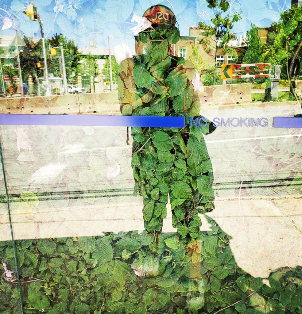 A selfie taken in a the reflective glass of a bus stop, with leaves in the background. In the reflection we see the silhouette of the artist, a road, and a concrete barrier.